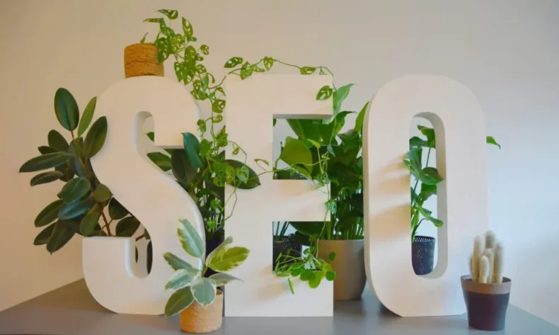 SEO Letters in White with Plants around it